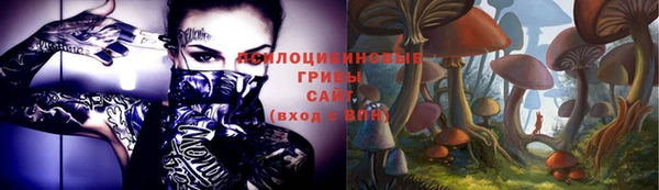 мескалин Медвежьегорск