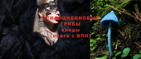 стафф Навашино