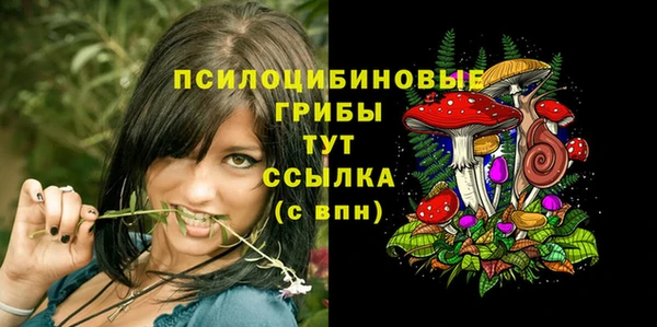 ПСИЛОЦИБИНОВЫЕ ГРИБЫ Надым