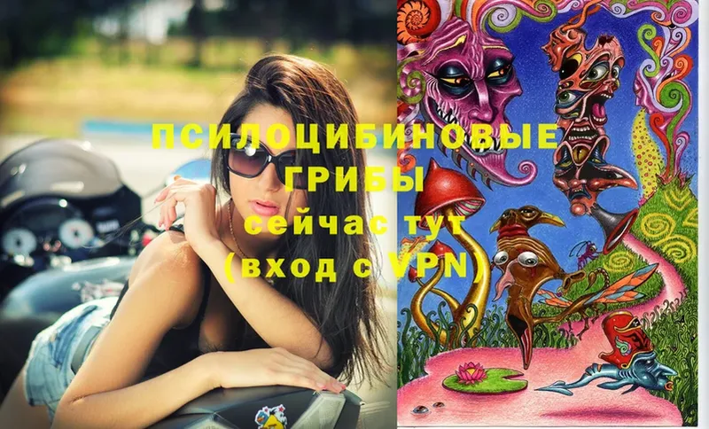 Псилоцибиновые грибы Magic Shrooms  где купить наркотик  кракен ссылки  Ишимбай 