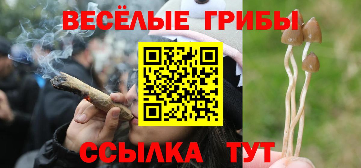 Псилоцибиновые грибы GOLDEN TEACHER Ишимбай